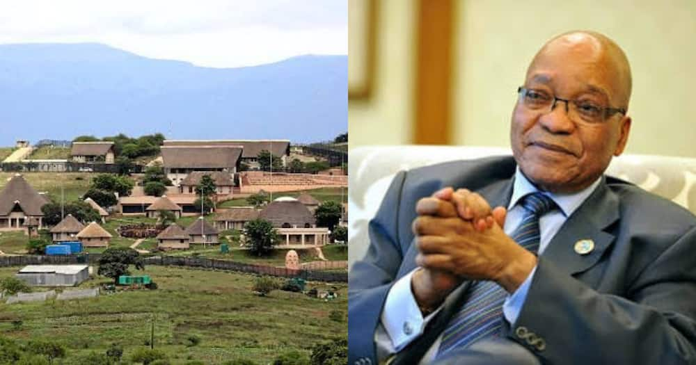 Jacob Zuma, discharged, hospital, Nkandla, Mzansi reacts