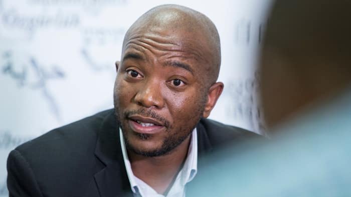 Mmusi Maimane leaves Mzansi annoyed with attempt to increase matric pass mark to 50 per cent