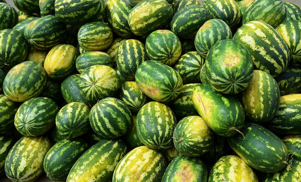 Close up of many watermelons in the street There was a mountain of watermelons.