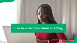 SARS eFiling for income tax return: how to file and submit in 2023?