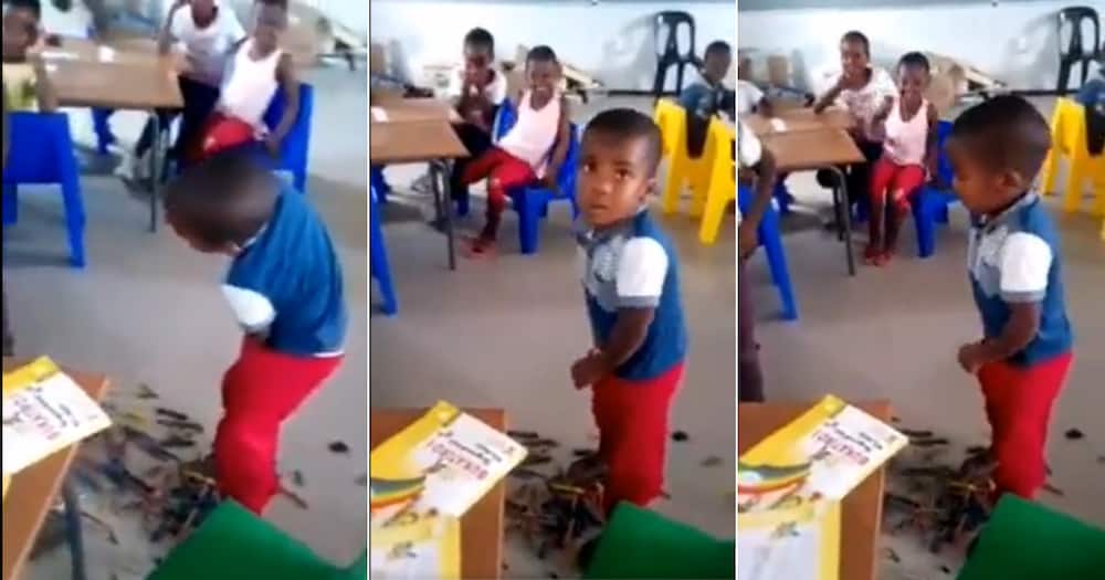“Future ANC Member”: Video of Kid Stealing Classroom Crayons Has SA in Stitches