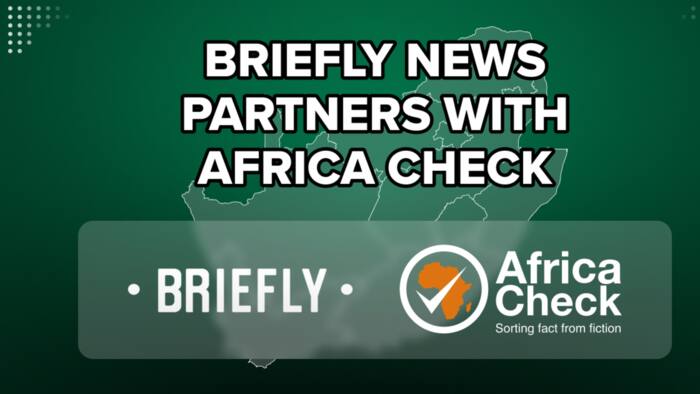 Briefly News Partners with Africa Check to Fight Election Misinformation