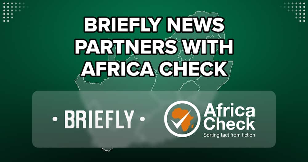 The new strategic partnership of Briefly News