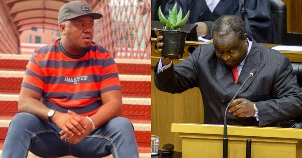 Tito Mboweni, Skhumba Hlophe, fight, call out, funny interaction, viral, trending