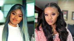 Babes Wodumo drinks champagne while at graveyard in emotional video, fans show support to star