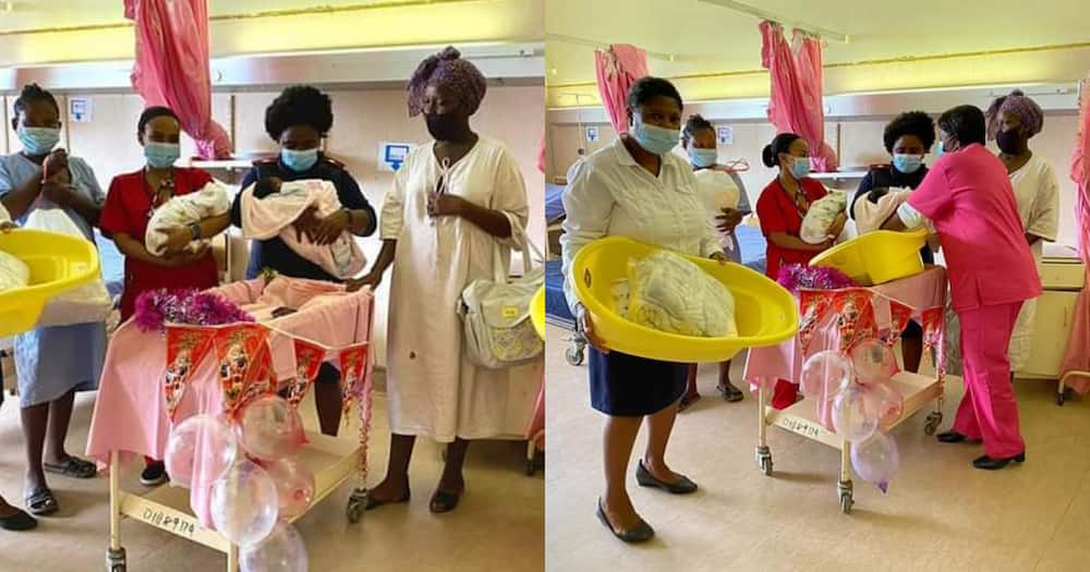 Halala: Limpopo celebrates at least 55 Christmas babies being born