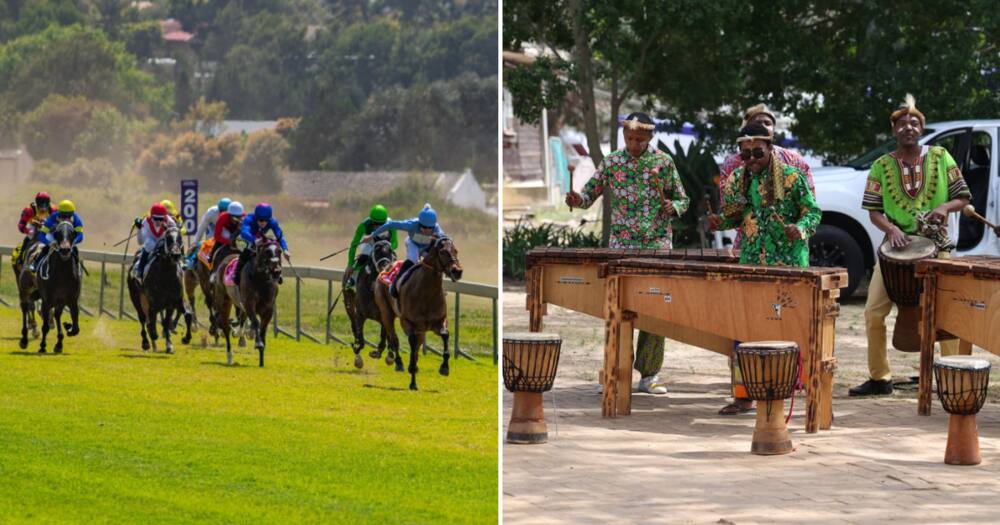 Hollywoodbets Durbanville horse race