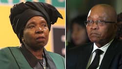 Former President Jacob Zuma offers support to Nkosazana Dlamini-Zuma's ANC presidency bid