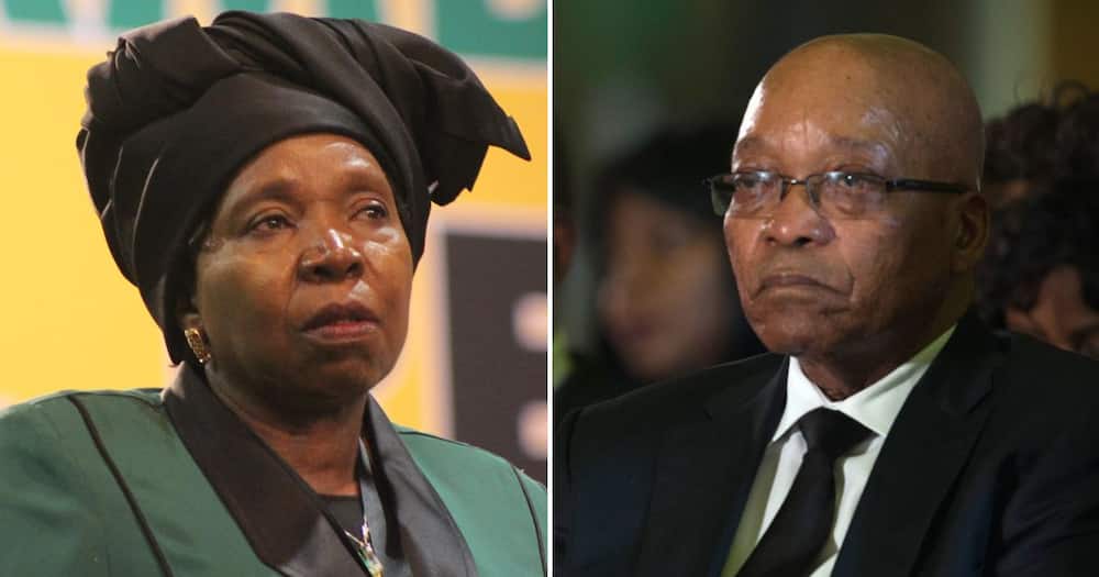 Nkosazana Dlamini-Zuma_Jacob Zuma