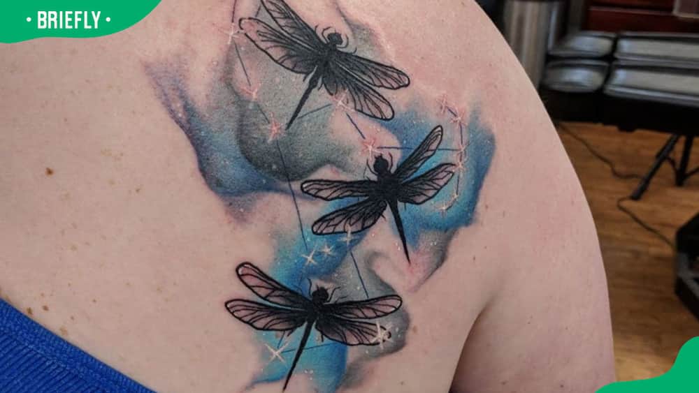 Triple dragonfly tattoo