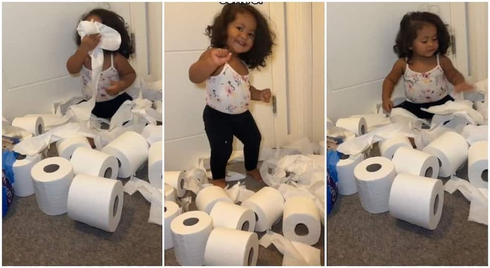 Little Toddler Makes Mom Cry After Tearing 12 Rolls of Toilet Paper in Funny  TikTok Video: “Sorry Mama” 