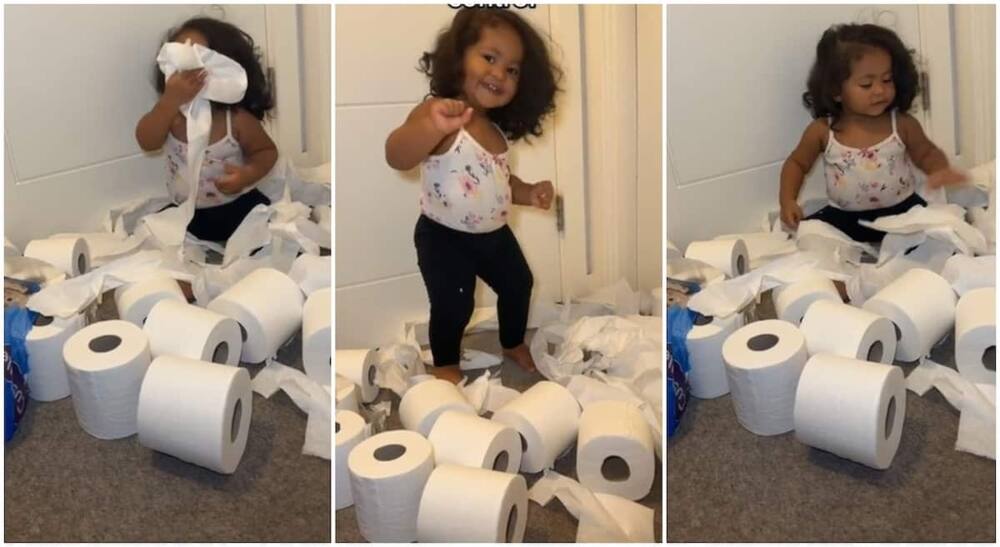 Little Toddler Makes Mom Cry After Tearing 12 Rolls of Toilet Paper in Funny TikTok Video: “Sorry Mama” Little Toddler Makes Mom Cry After Tearing 12 Rolls of Toilet Paper in Funny TikTok Video: “Sorry Mama”