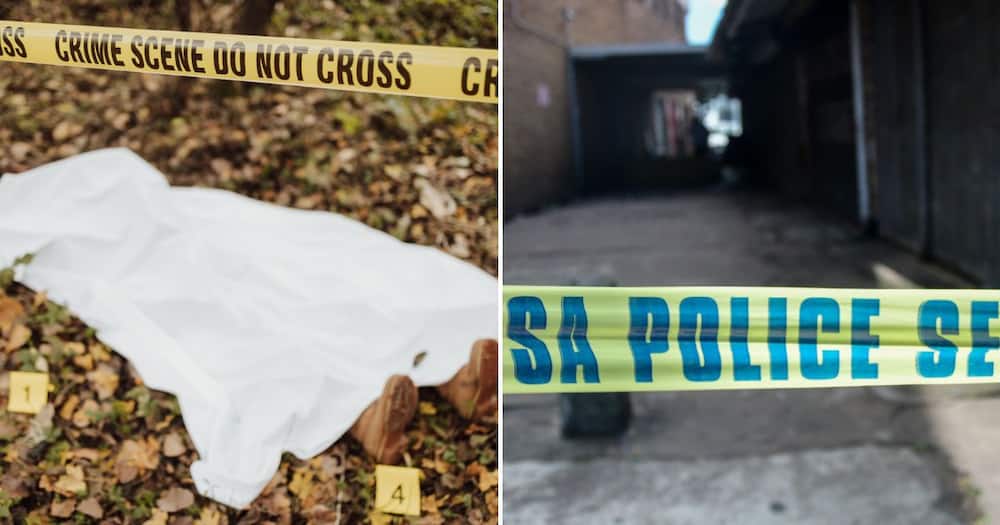 Six bodies found in Johannesburg building