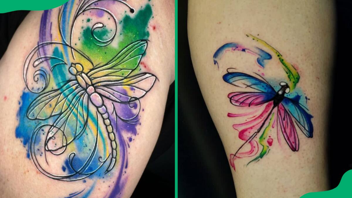 Watercolour dragonfly (my first) by Ryan Tews at Asteroid M in Calgary, AB  : r/tattoos