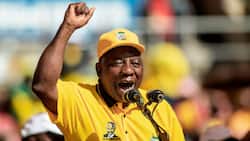 Someone paid R1.2 million to sit next to President Cyril Ramaphosa, ANC gala dinner tickets sold out