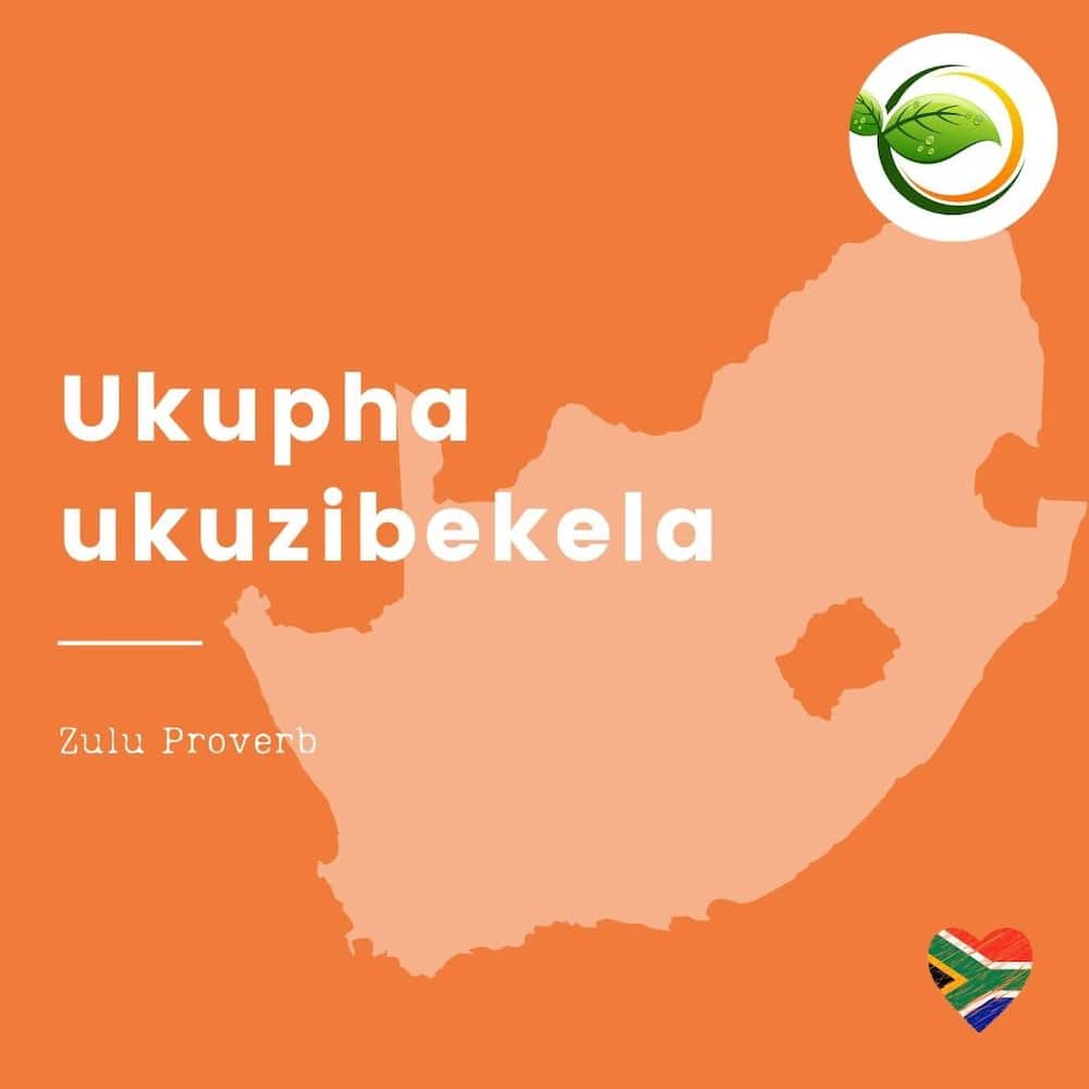 50 proverbs in Zulu 50 proverbs in Zulu