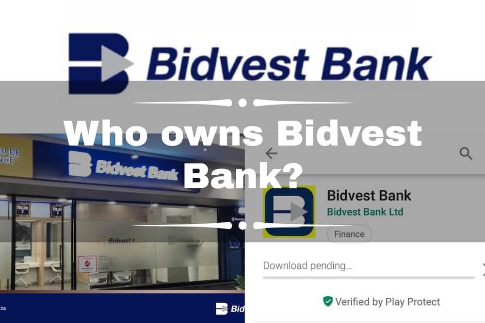 Bidvest Bank owner