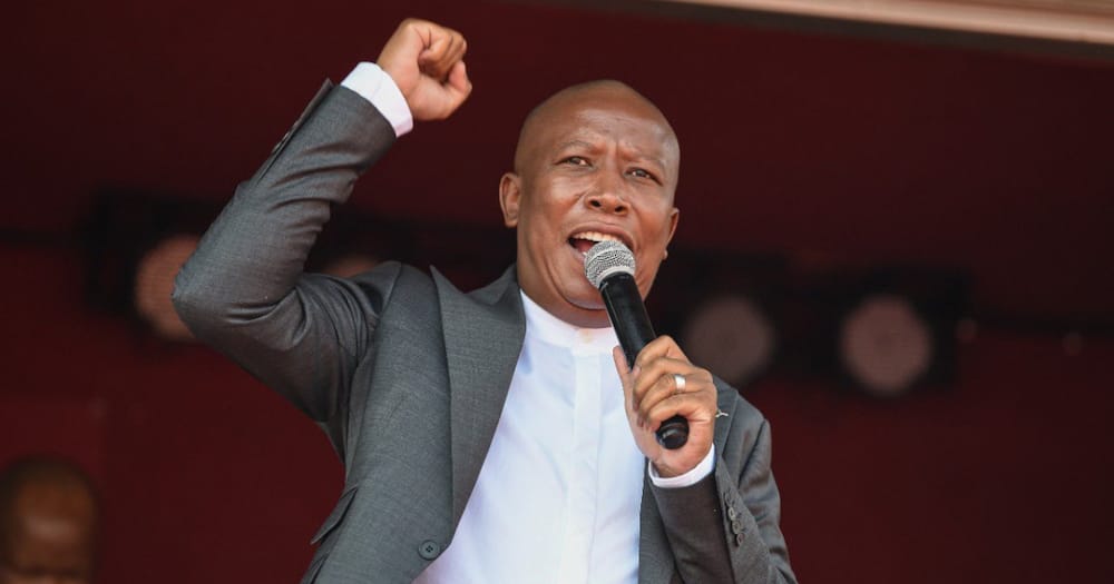 Julius Malema publicly snitches on Mzansi man trying to sell alcohol online