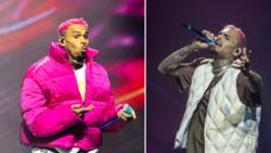 Chris Brown causes couple to break up after sensual lap dance on female fan during concert