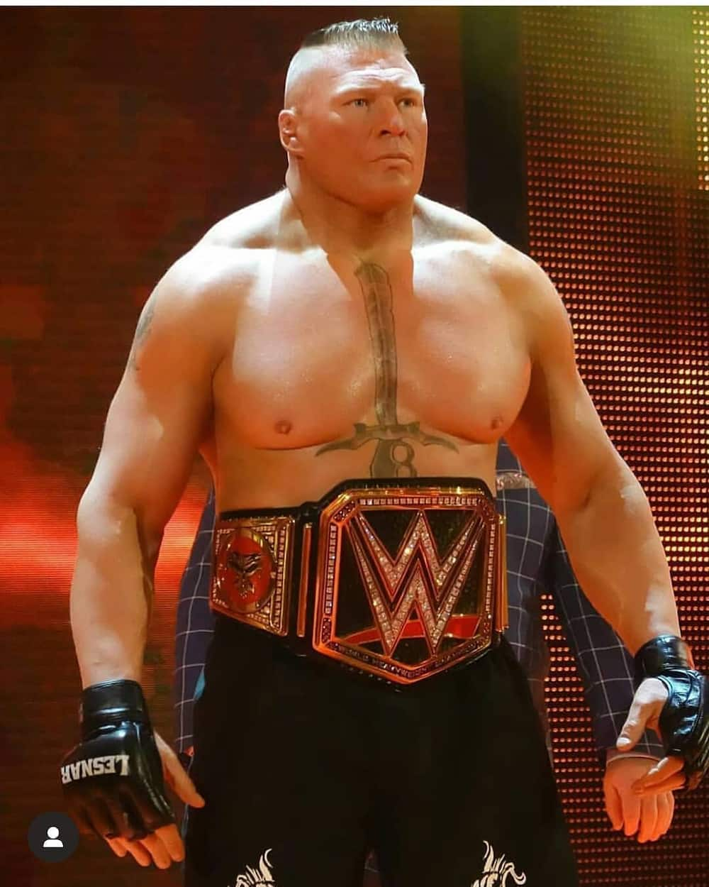 Brock Lesnar bio: weight, height, wife, children, net worth and more