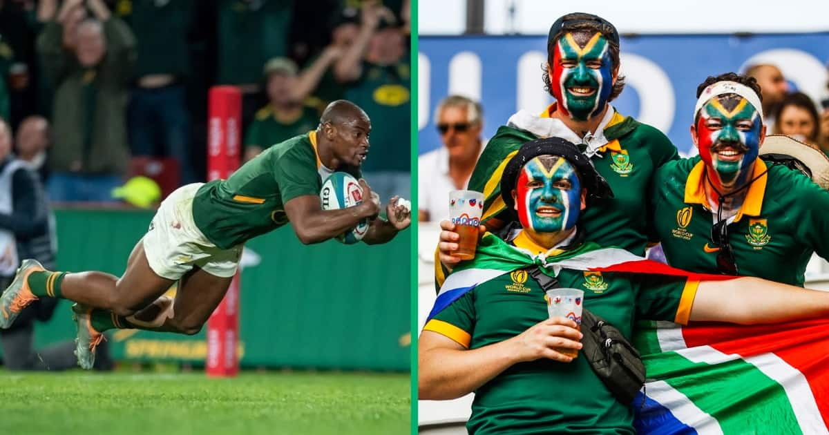 Rugby World Cup 2023: SA Rallies Behind Springboks Ahead Of Match ...