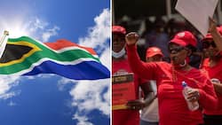 Cosatu calls out Nathi Mthethwa's proposed "senseless and ridiculous" R22m South African flag project