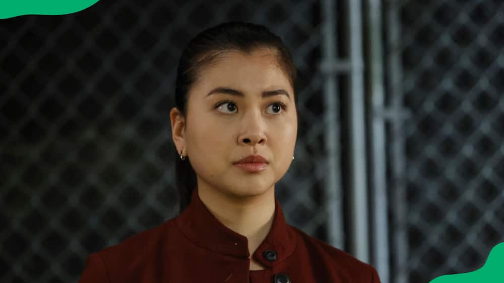 Who is Agent Park on The Blacklist?