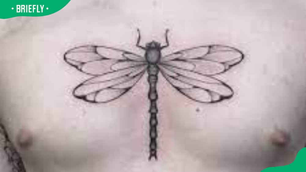 Chest dragonfly tattoo