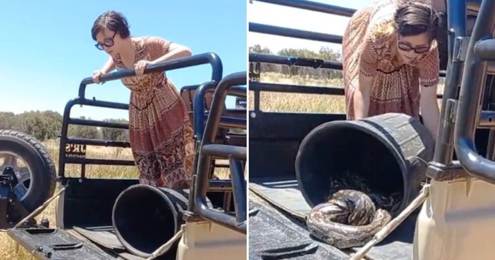 Woman shares video of her releasing a snake.