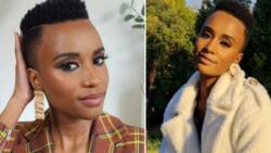 Zozibini Tunzi dubbed fashion icon by fans after posting pics wearing edgy suit