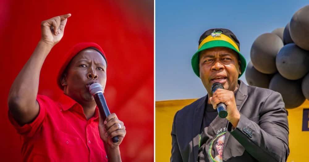 EFF leader Julius Malema and ANC Ekurhuleni Chairperson Mzwandile Masina