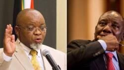 Ramaphosa and Mantashe dragged to court about the country's energy act, SA reacts : "Ramaphosa is untouchable"