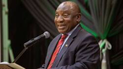 From owning McDonald's to farming cattle: How SA president Cyril Ramaphosa built his R6.4 billion fortune