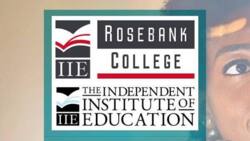 List of all Rosebank College courses and fees for 2022-2023: Get all the details