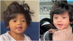 American baby's stunning mop of hair mistaken for a wig: "Like his dads"