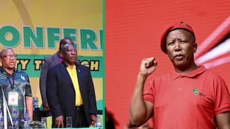 Malema says all the ANC leaders who reported to him are his 'boys and girls'