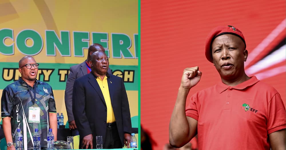 EFF leader Julius Malema calls Cyril Ramaphosa and Fikile Mbalula his boys