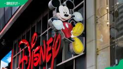 What killed Mickey Mouse? All about the TikTok trend
