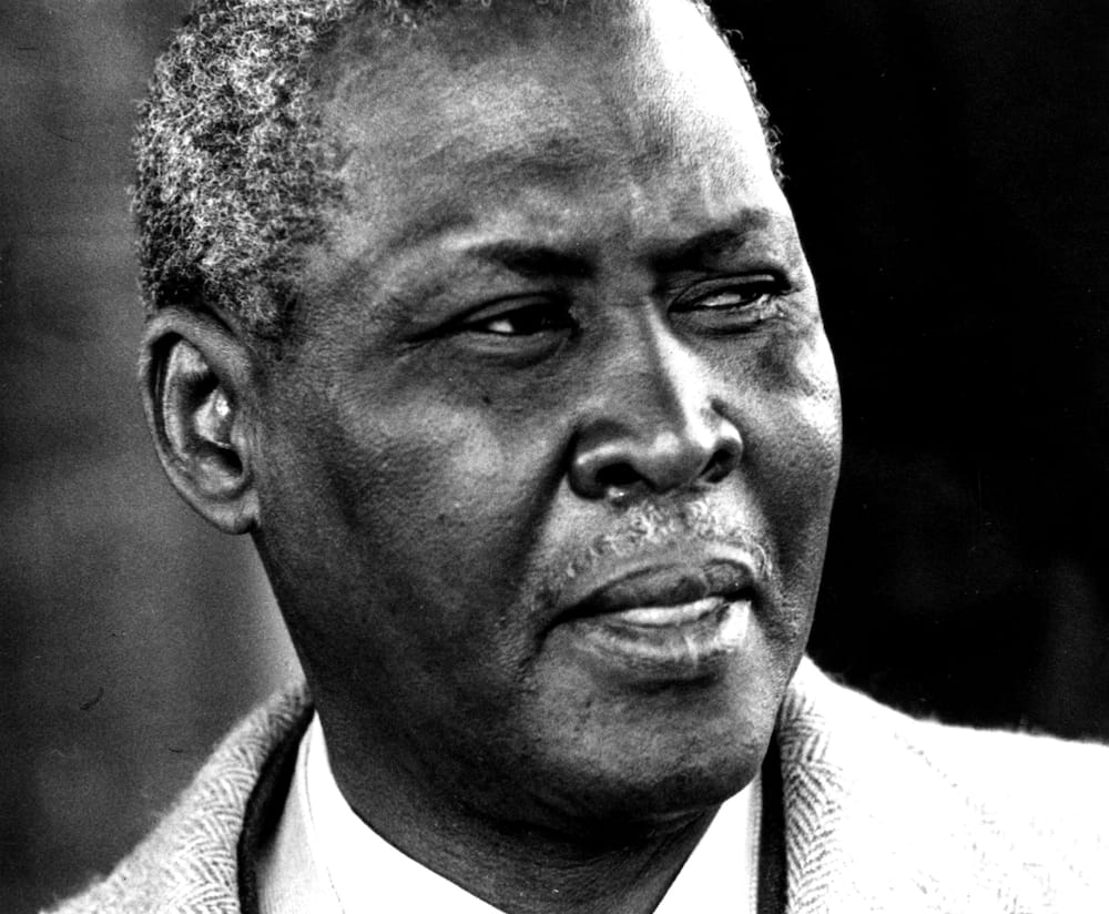 famous South Africans famous South Africans