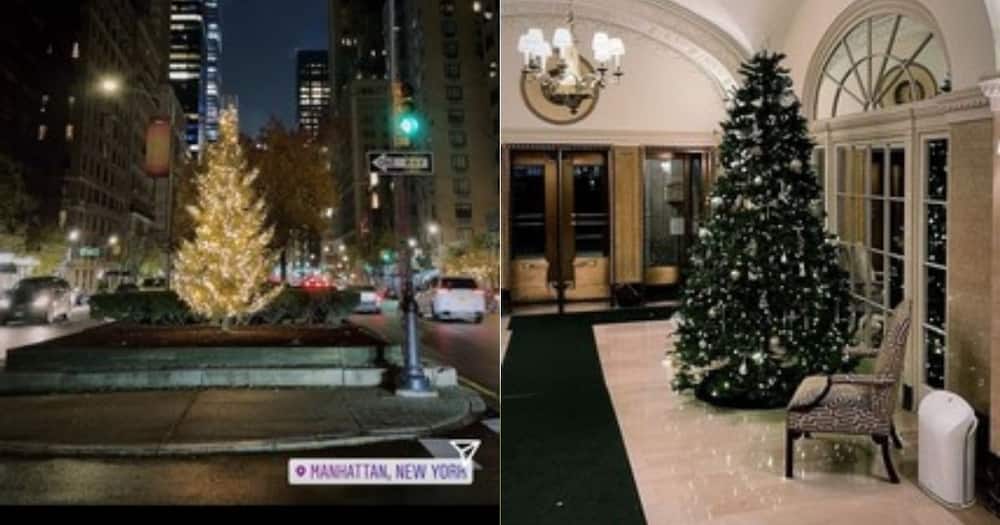 Bonang, NYC Christmas trees, false report, low profile in SA