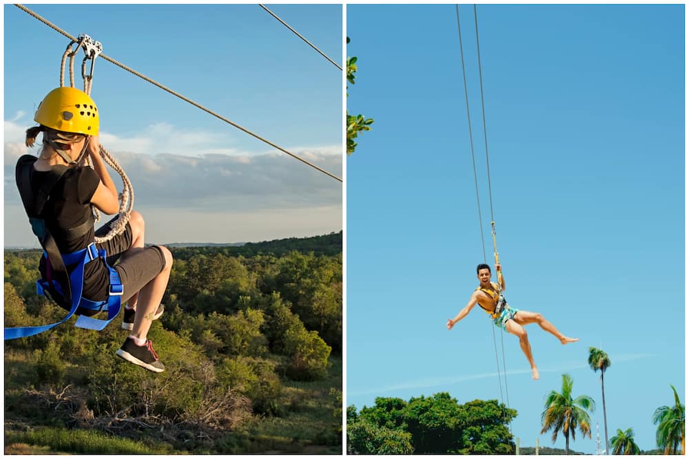 What is the longest zipline in the Cape?