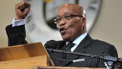 Jacob Zuma slams government for SEOs privatisation, SA irritated: “He didn't say this when he was president”