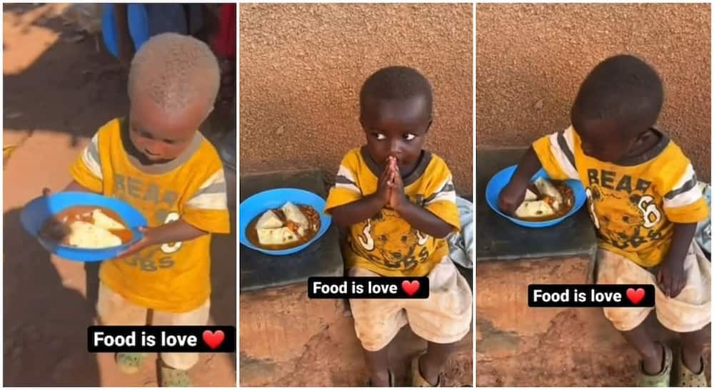 little boy, prayer, food