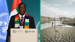 Emmerson Mnangagwa declares Zimbabwe drought a national disaster