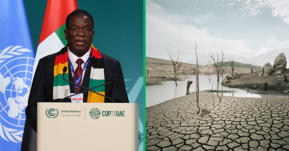 Emmerson Mnagagwa declared the Zimbabwean drought to be disaster