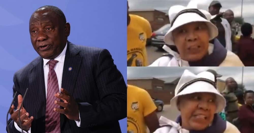Gogo defends President Cyril Ramaphosa, video, reactions from South Africans