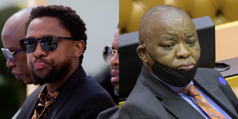 Mbuyiseni Ndlozi Shades Gwede Mantsashe, Mzansi Reacts: "Be Careful"