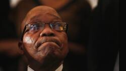 State Capture update: Gupta family paid for Jacob Zuma’s arms deal legal fees