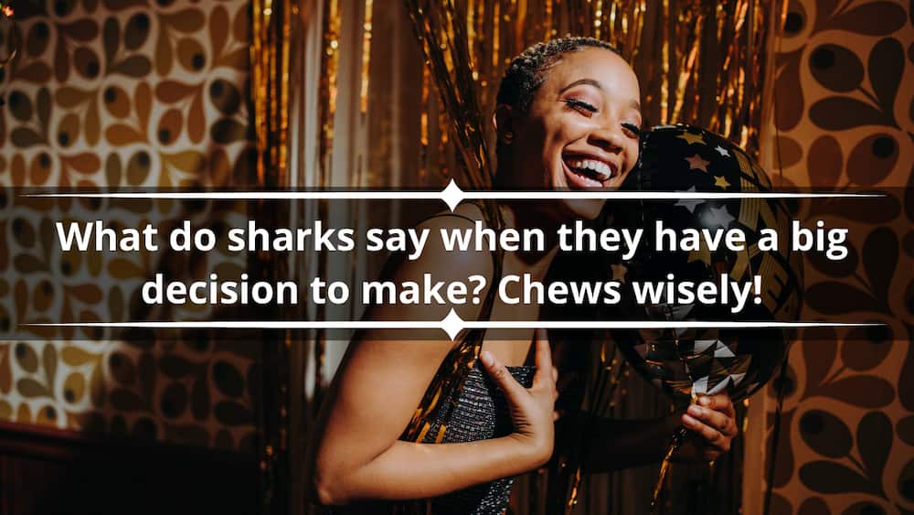 shark jokes for adults