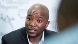 Mmusi Maimane cautions that citizens will rise up if EFF and ANC delay of Ekurhuleni mayoral election continues